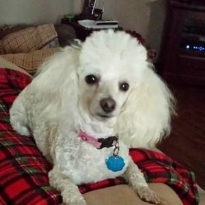 Meet your Posher, Rita